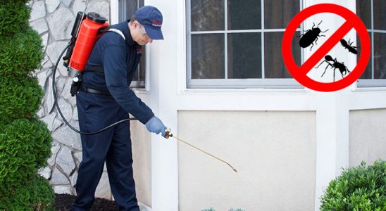 Orta Bit İlaçlama böcek ilaçlama ve haşere kontrolü — ilaclama-tr.com
